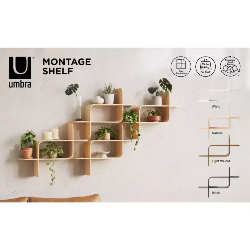 Scaffale Montage
